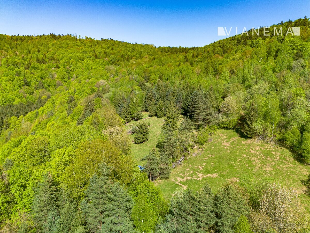 POUZE U NÁS Pozemek na samotě v lese - Lazy pod Makytou - 15