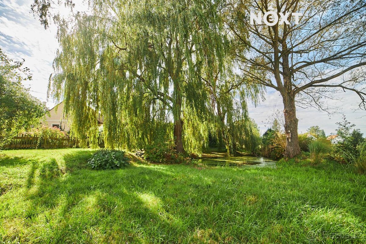 Prodej Zemědělská usedlost, 255㎡ - 15