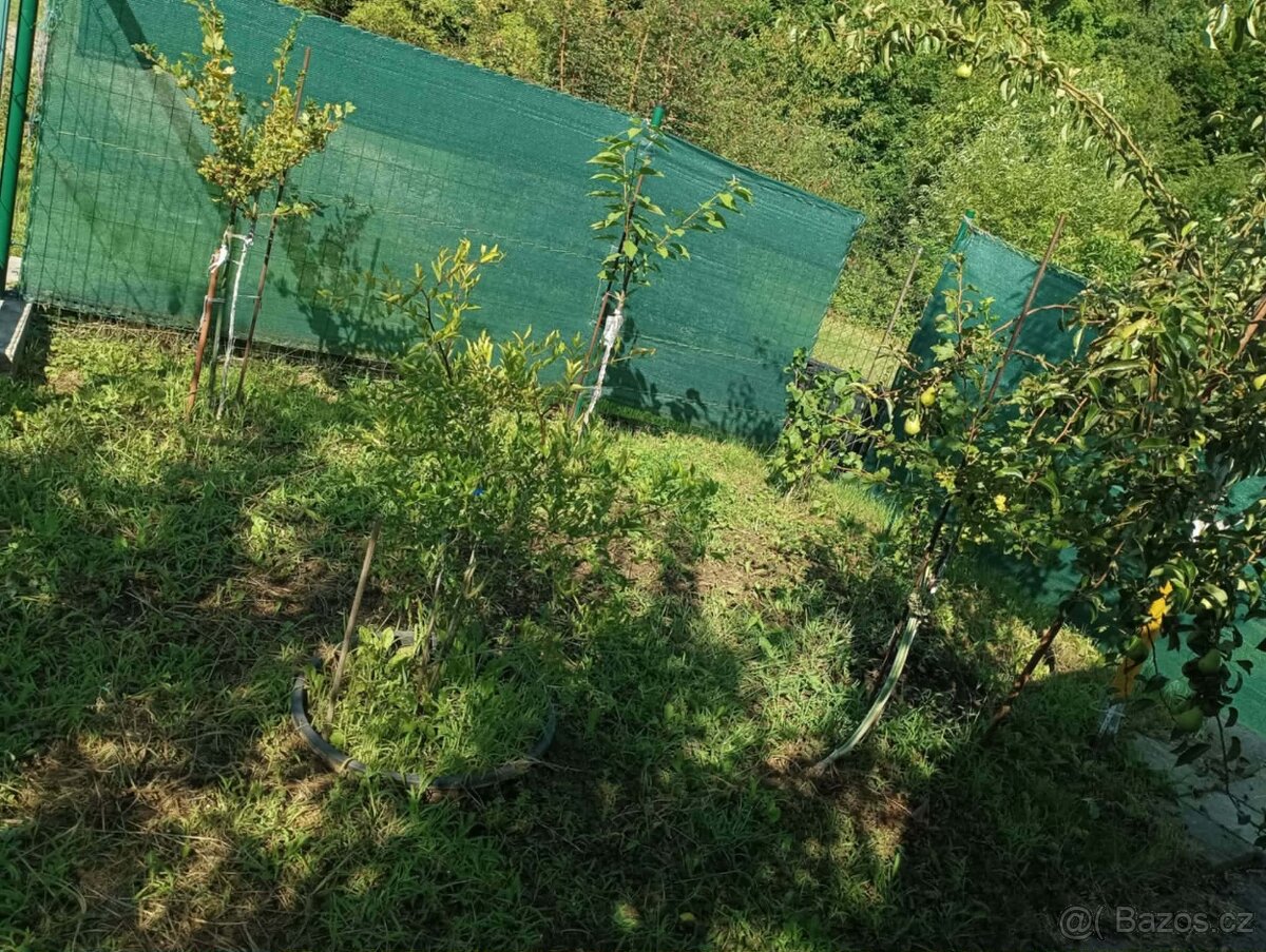 Prodej zahrady u Zlína - 15