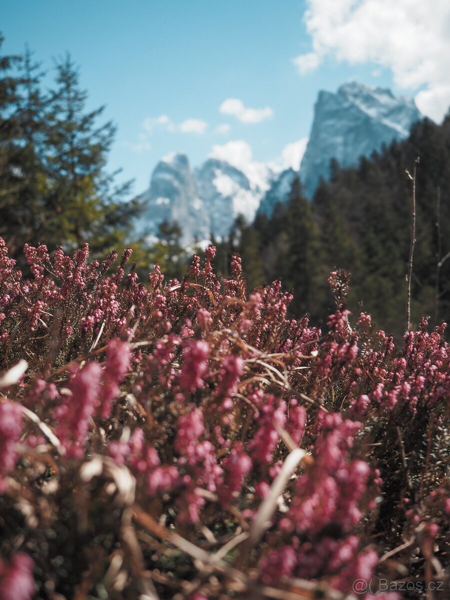 Fotoaparát Olympus PEN + objektivy - 15