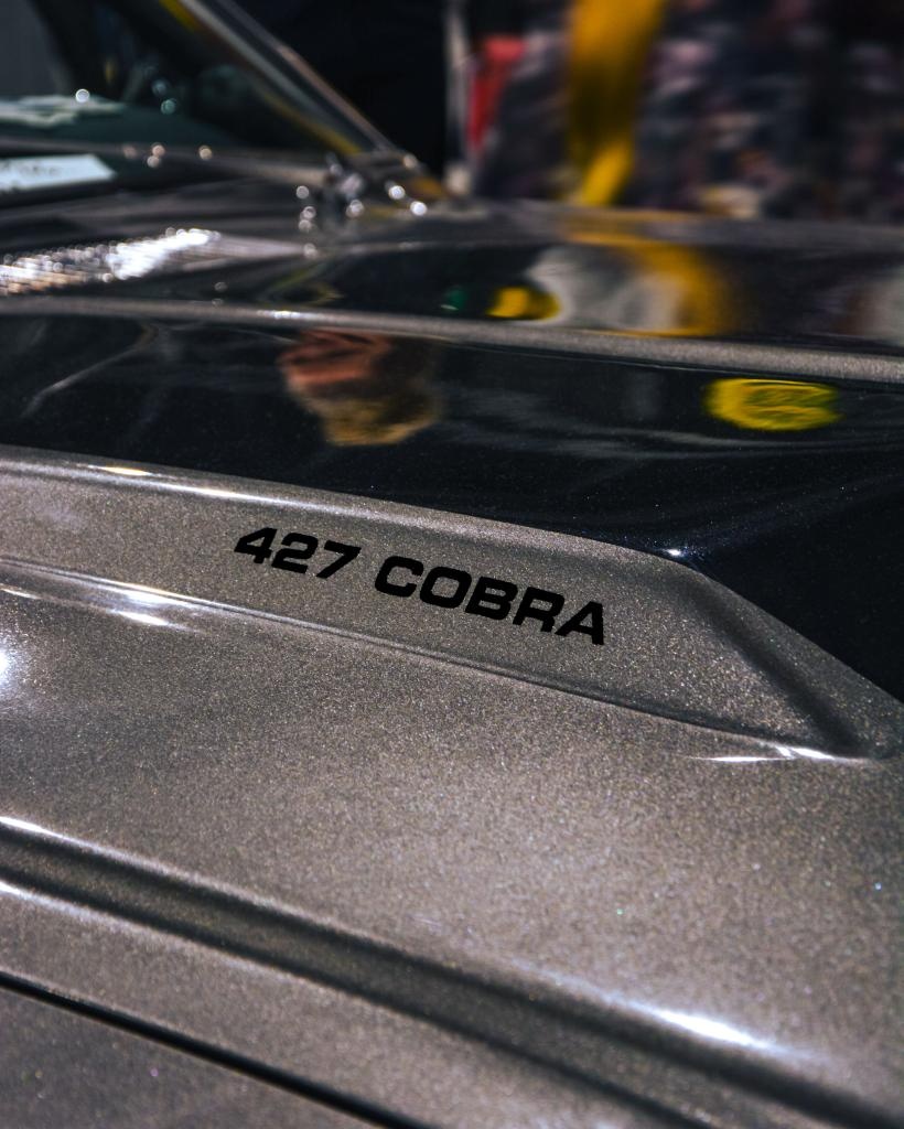 ELEANOR Shelby GT500 V8 - 15