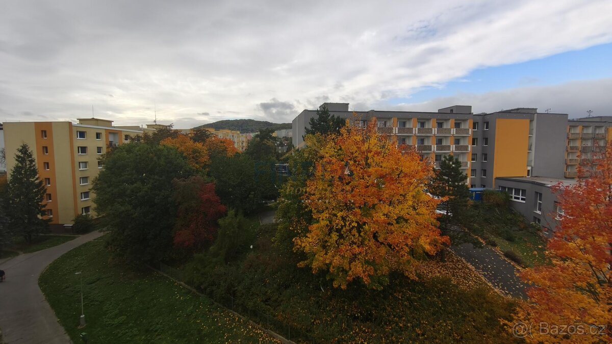 Prodej bytu, 1+1, 36 m2, DV, ul. Jezerská, Jirkov - 15