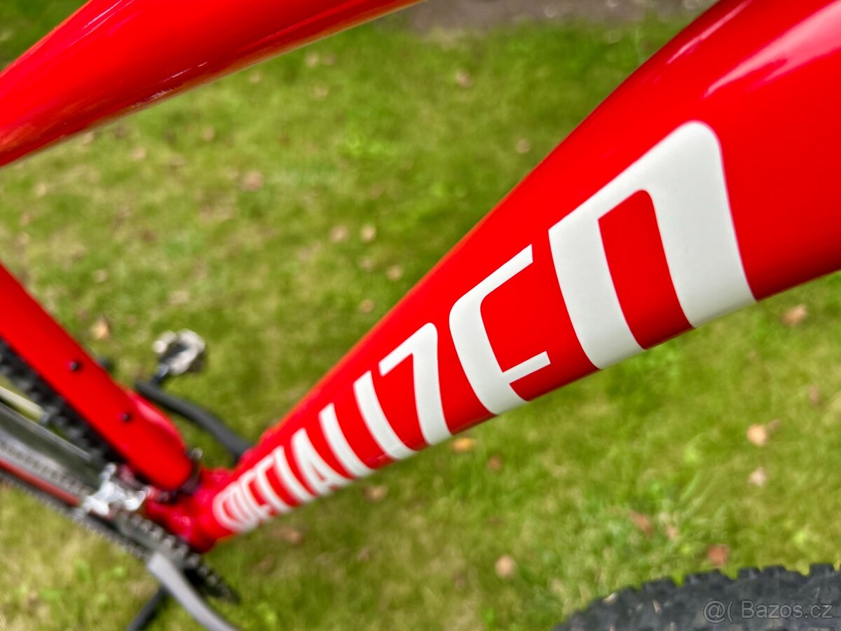 Specialized Rockhopper L - 15