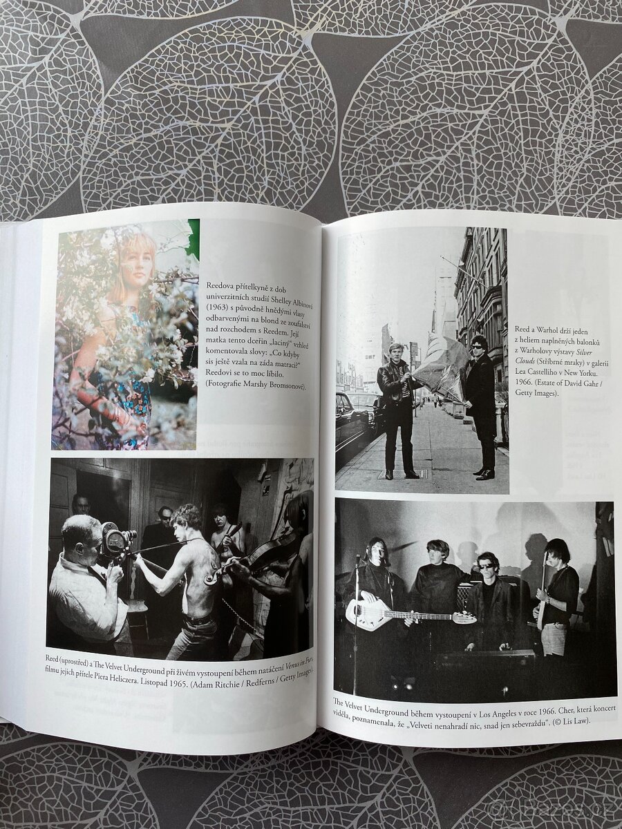 Nová kniha Lou Reed - Život - Anthony DeCurtis - 15