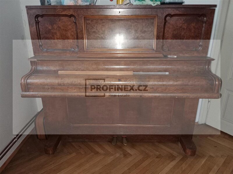 Prodej vily z počátku 20. století v Kraslicích - 15