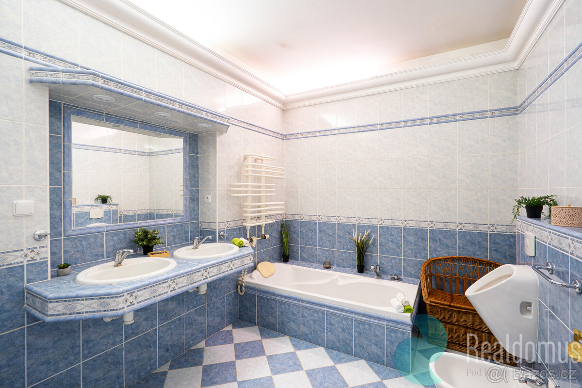 Prodej, rodinný dům, komerční prostory, Trhové Sviny, okr. Č - 15