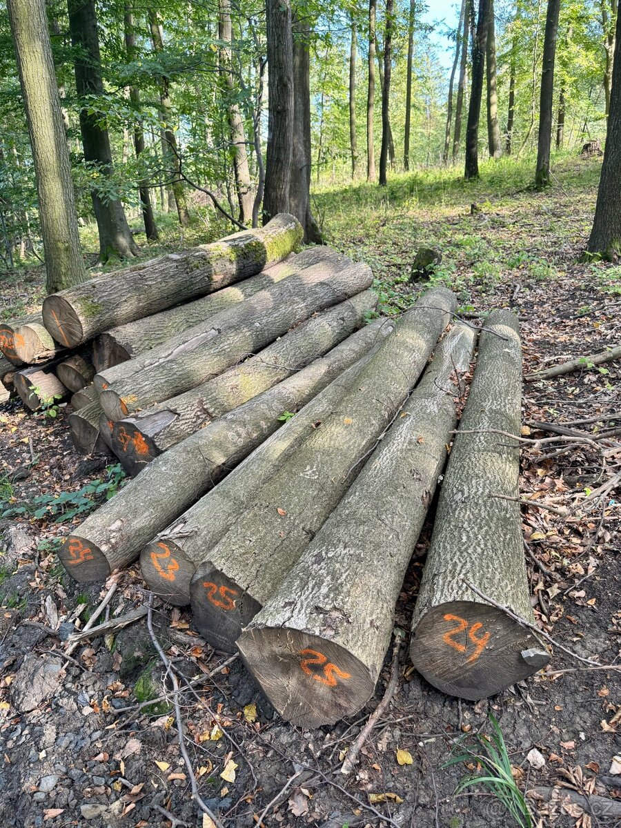 Prodej palivového dřeva - 15