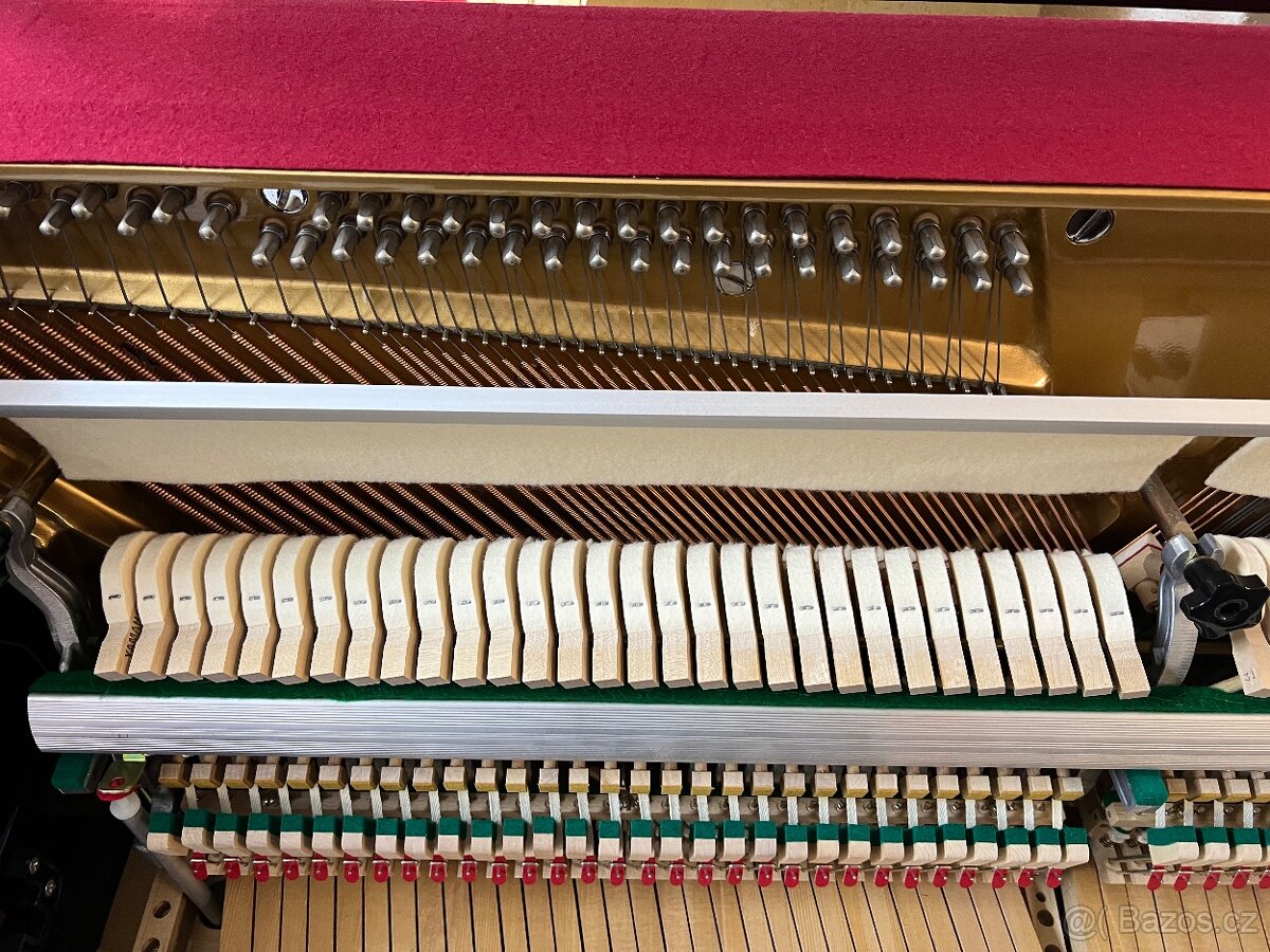 Eterna - Yamaha ÉR-C10 se zárukou 5 let, REZERVACE - 15