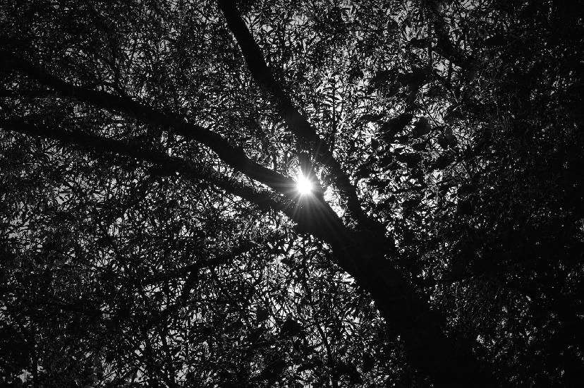 Nikon D5000 + kompletní výbava - 15