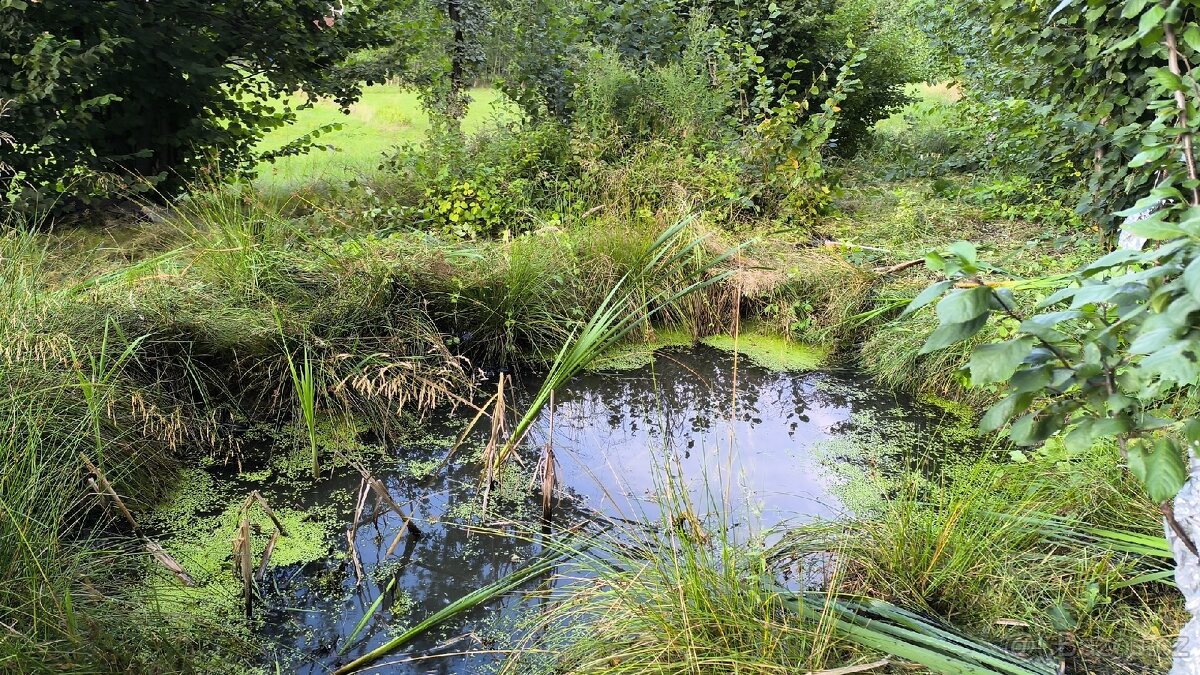 pronajem zahrady P R O N A J A T O volne 2/2026 - 15