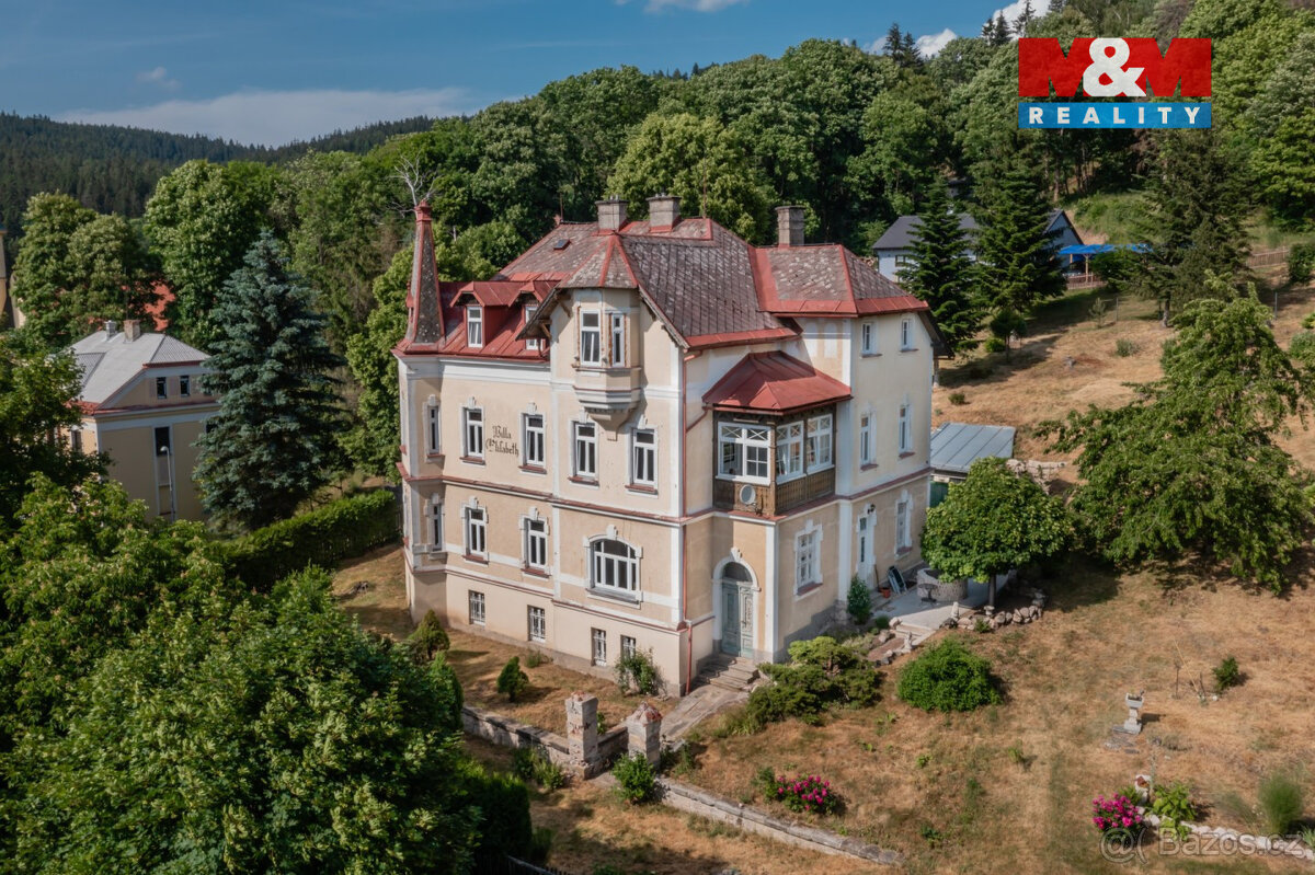 Prodej rodinného domu, 600 m², Lázně Kynžvart, J. E. Purkyně - 15