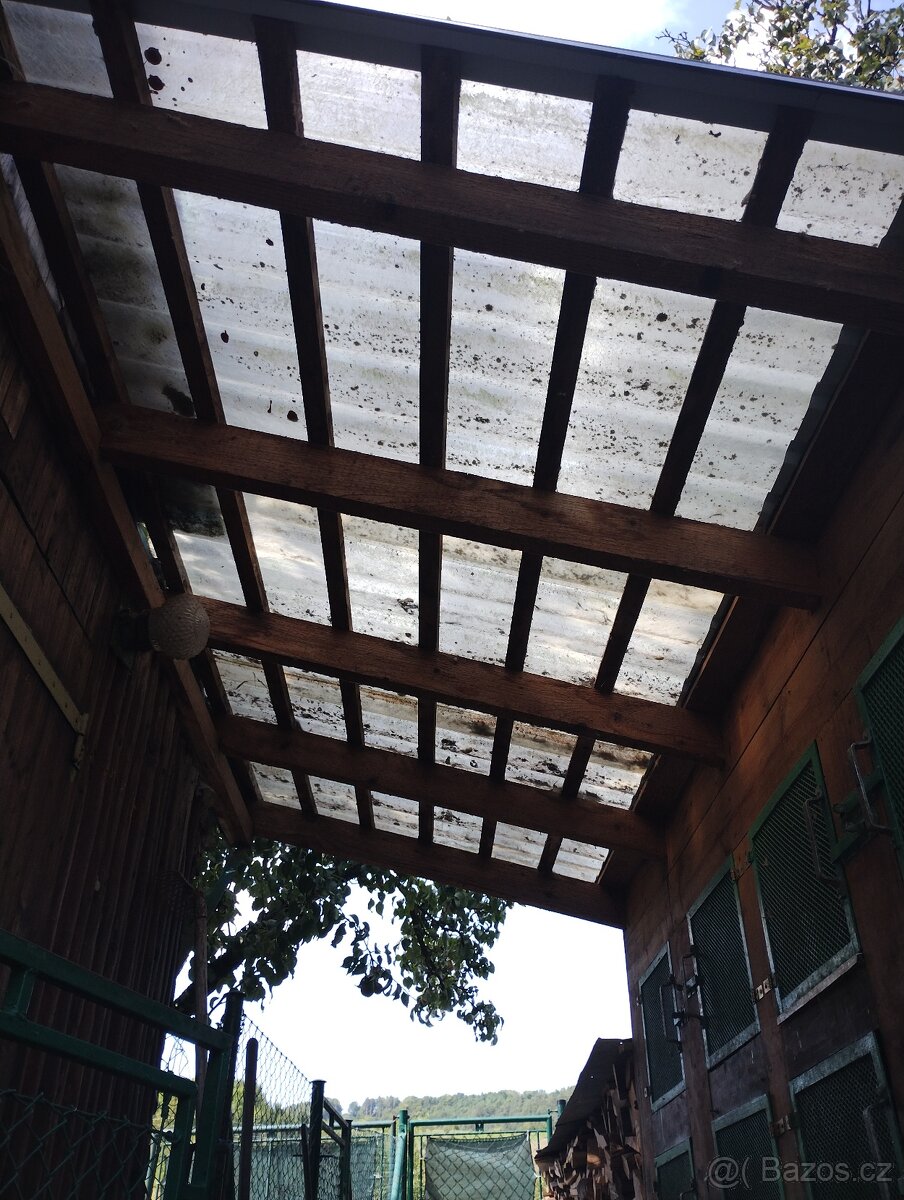 Kralikarna, kotce. - 15