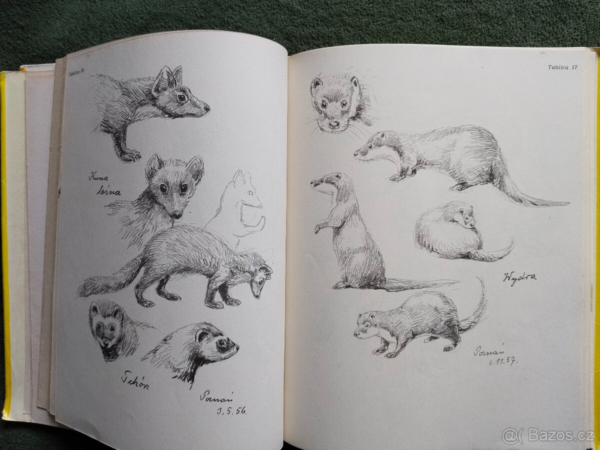 Různé druhy knih - výprodej - 15