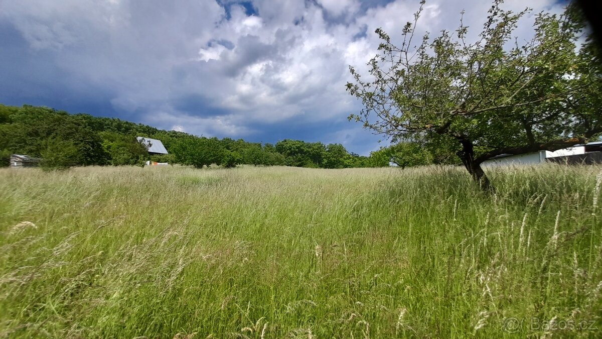 Nabídka ustájení 24/7 - 15