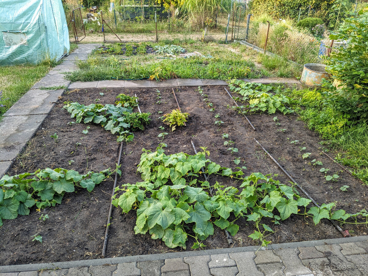 Prodej zahrady, Nové Jesenčany, Pardubice - 15