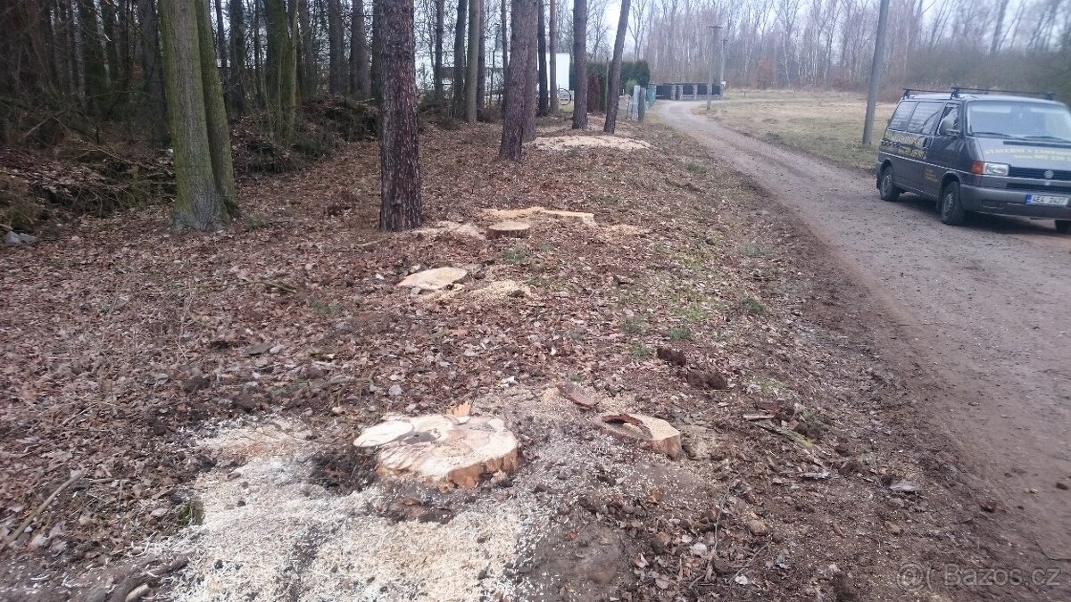 FRÉZOVÁNÍ - ODSTRAŇOVÁNÍ PAŘEZŮ - 15
