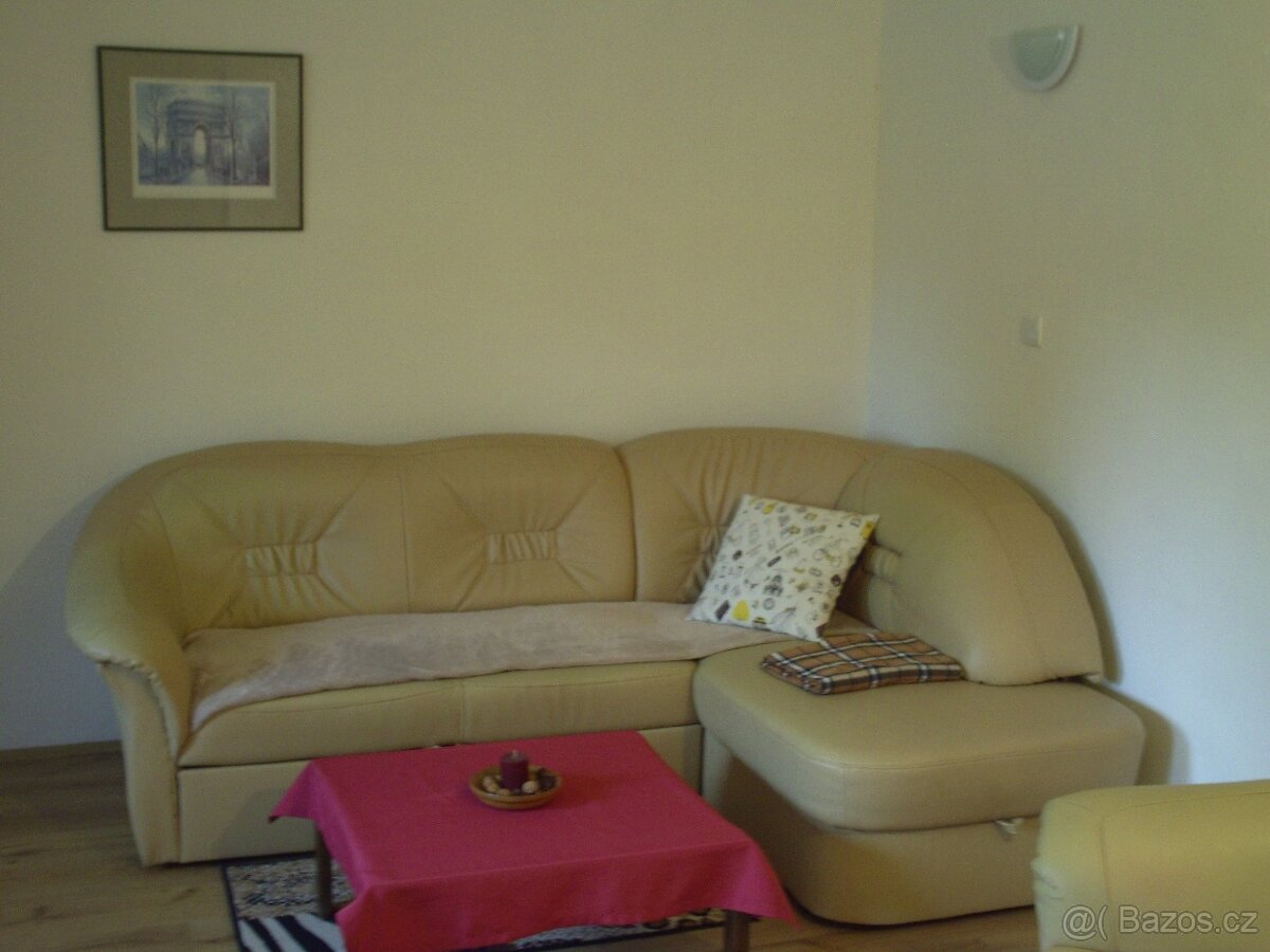 Prodej dvou domů za cenu jednoho - 15