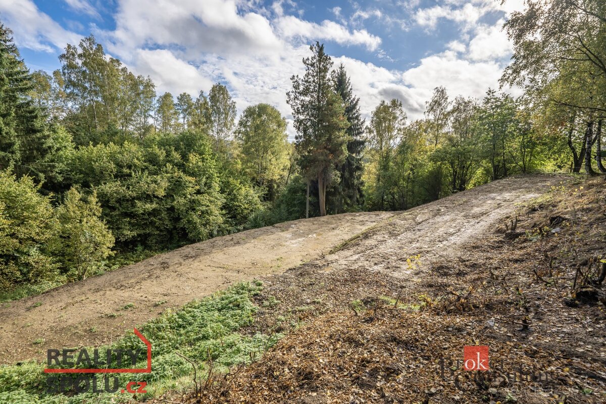 Prodej, pozemky/bydlení, 3251 m2, Kadlická 54, Liberec XV-St - 15