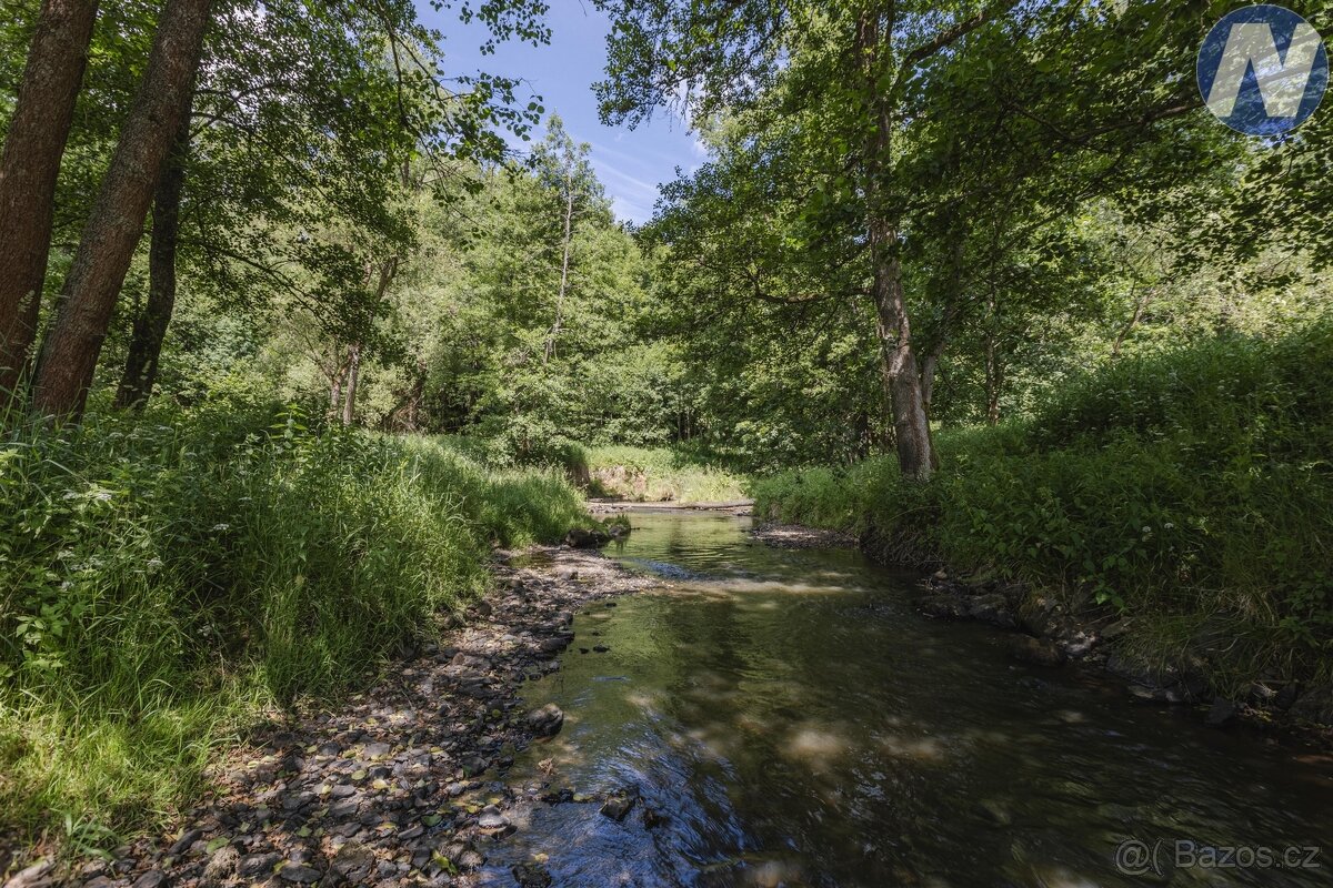 Prodej soustavy rybníků, Kříženec u Mariánských Lázní, možno - 15