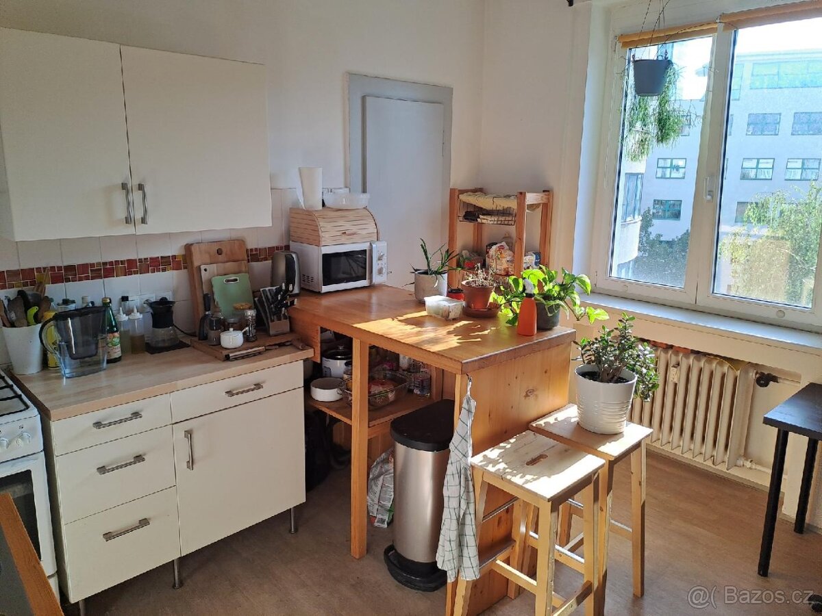 Prodej bytu 1+1 45 m² Hvězdova, Praha - Nusle - 15