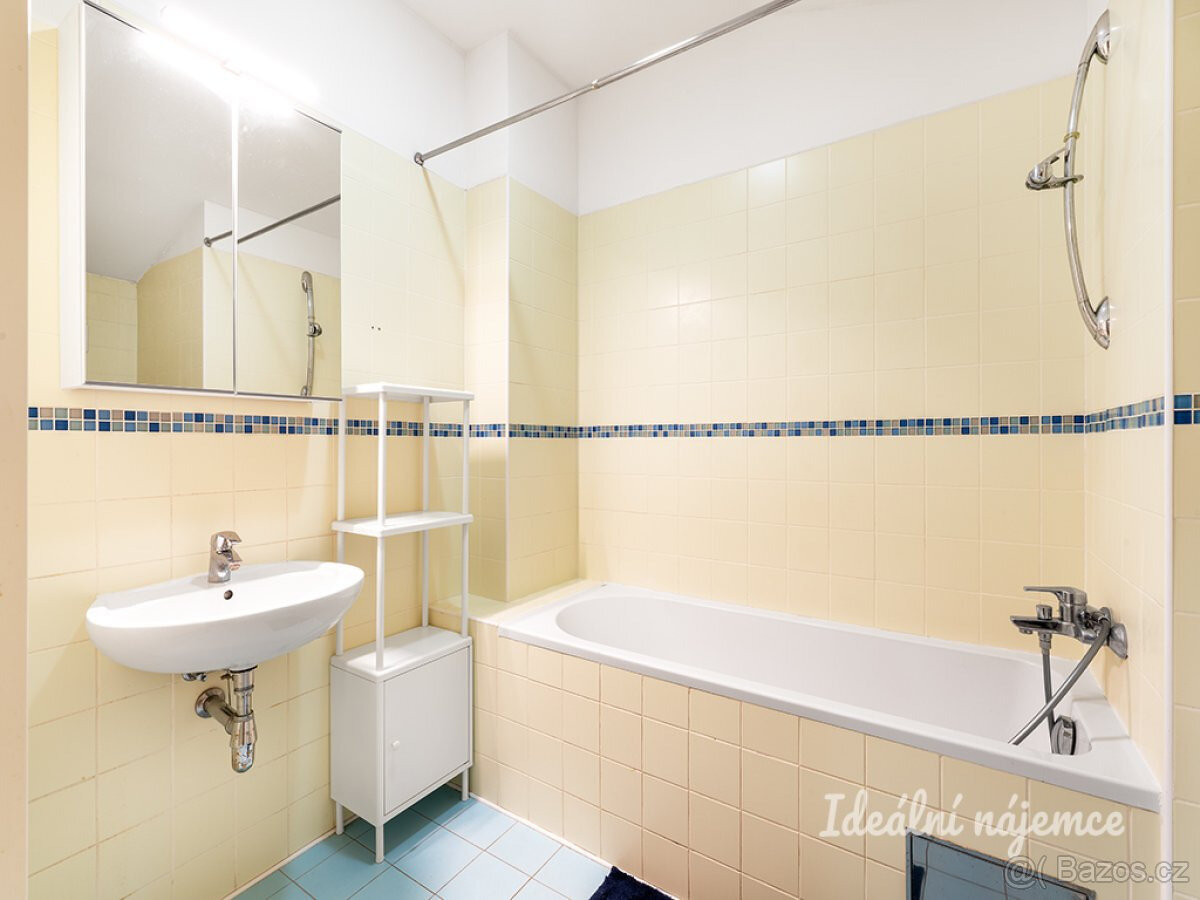 Pronájem bytu 2+kk, Na Folimance, Vinohrady, 77 m2 - 15