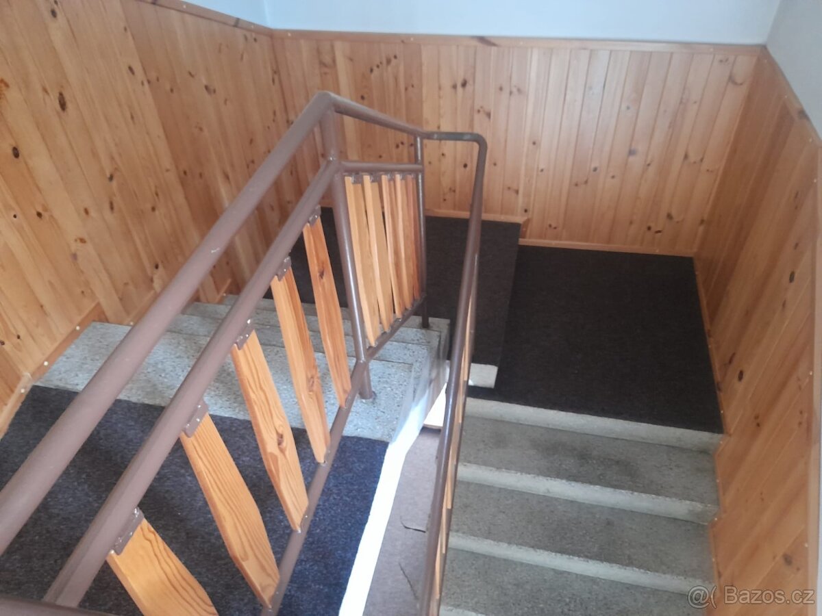 Pronájem bytu 3+1 v rodinném domě, Skalice u F-M - 15