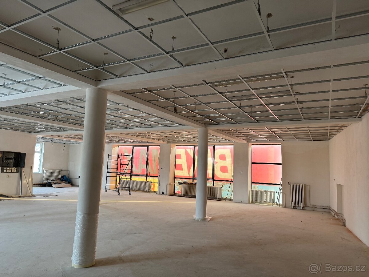 Pronájem nebytových prostor - 15