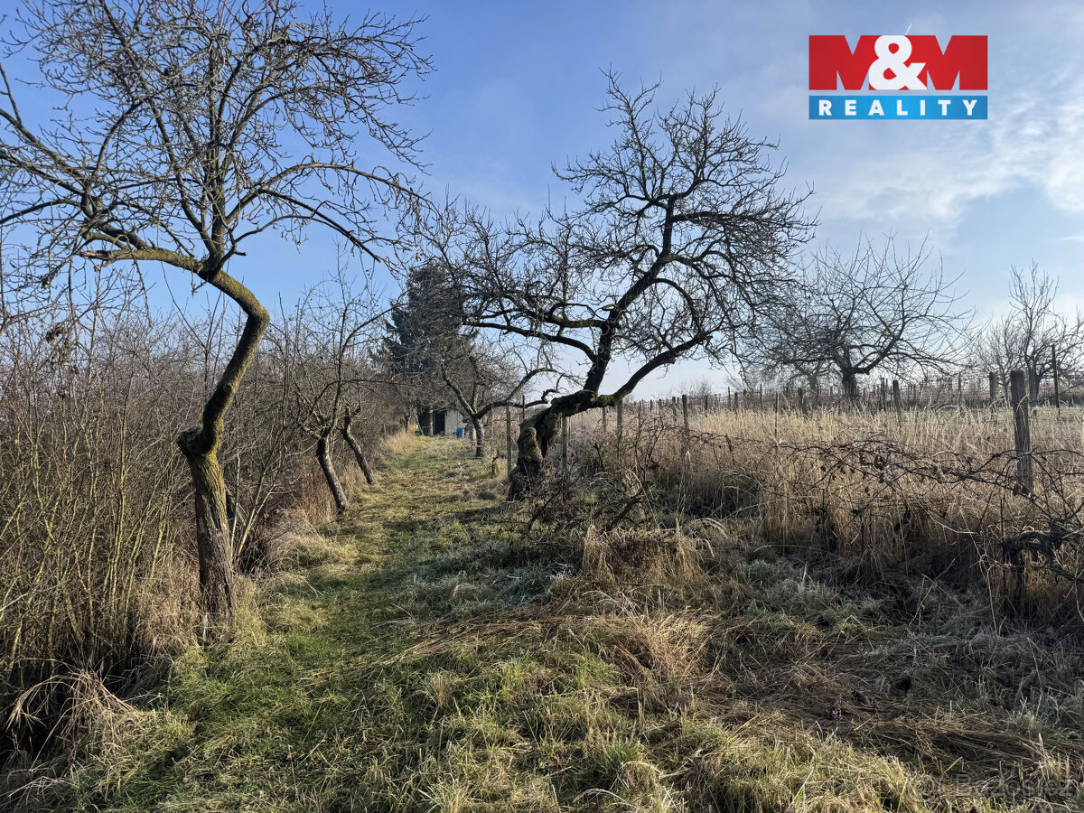 Prodej chaty, Hrušovany u Brna - 15