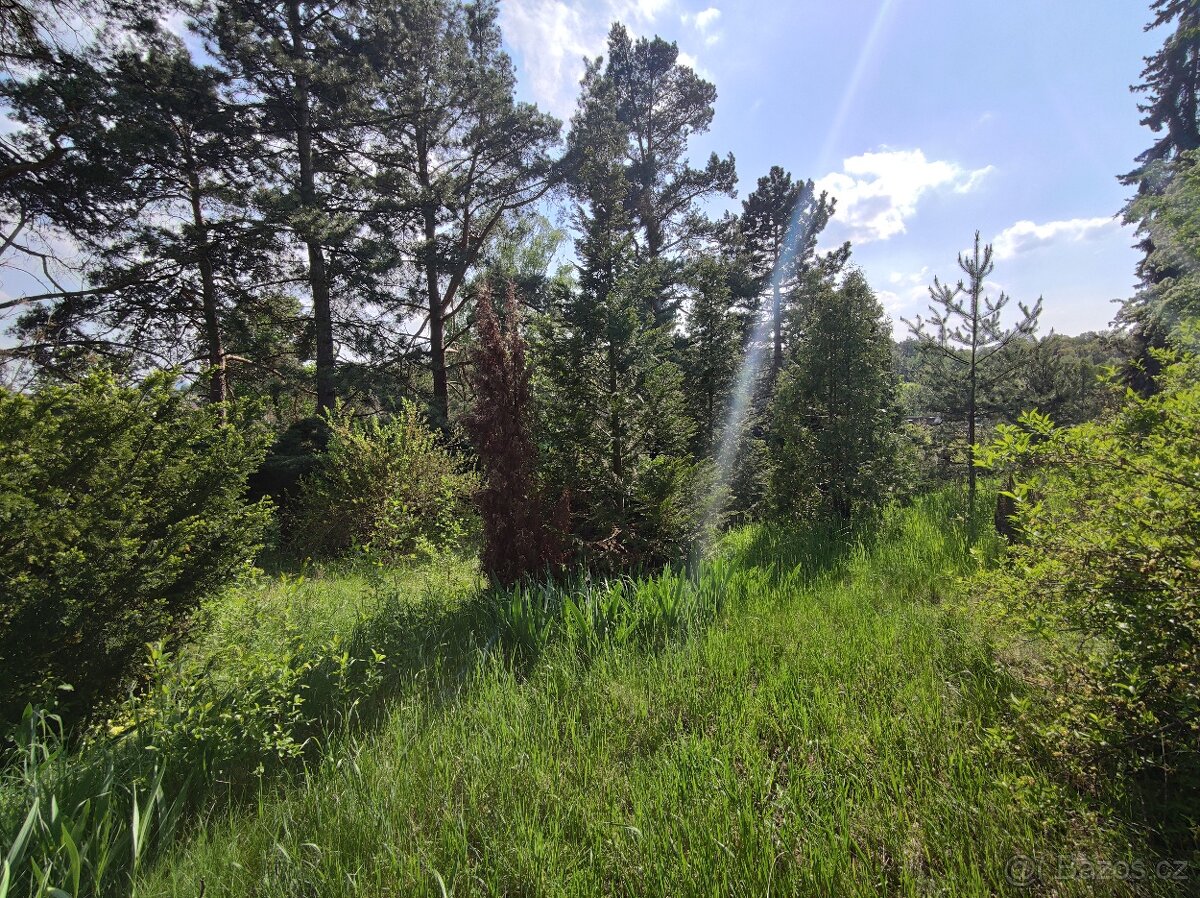 Pronajmu nový byt 2+1 v Mimoni, ul. Lužická, byt č. 3 - 15