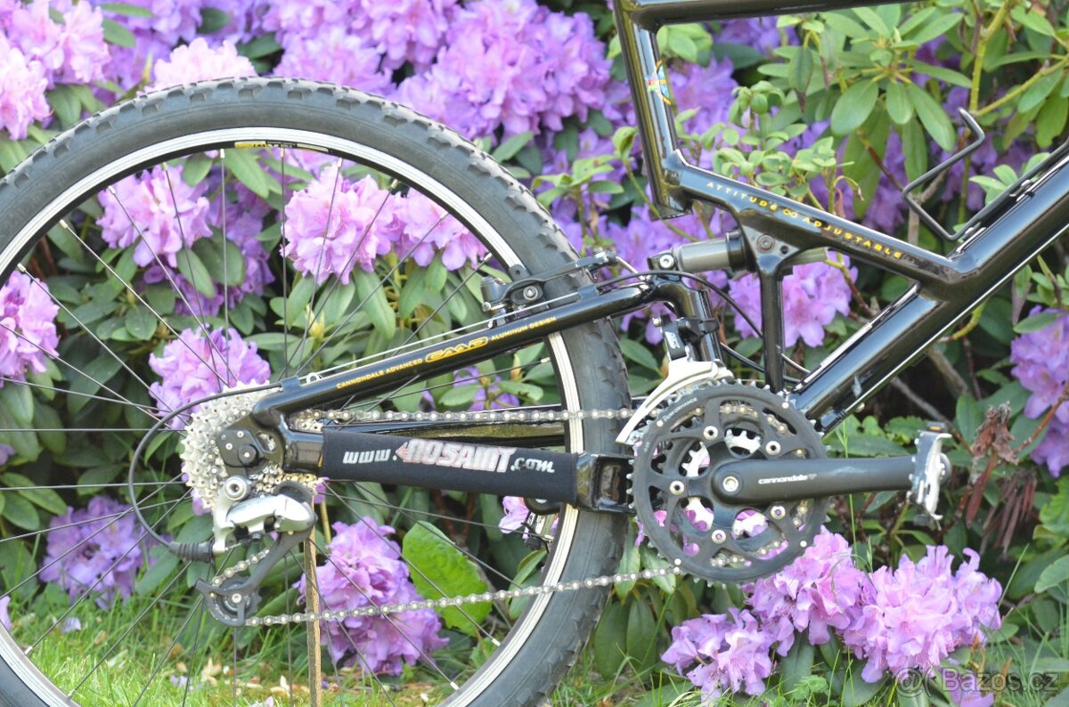 Cannondale JEKYLL 500 - 15