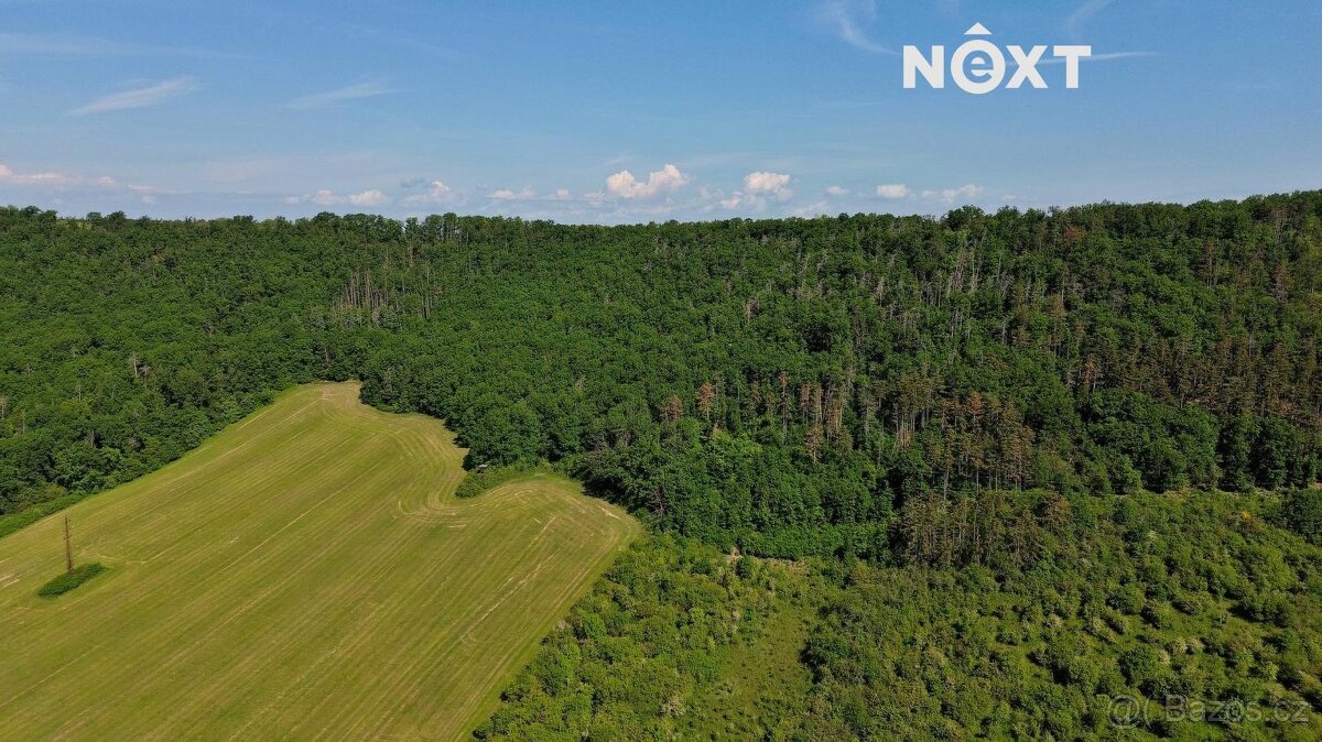 Prodej pozemek Lesy, 3149㎡ - 15