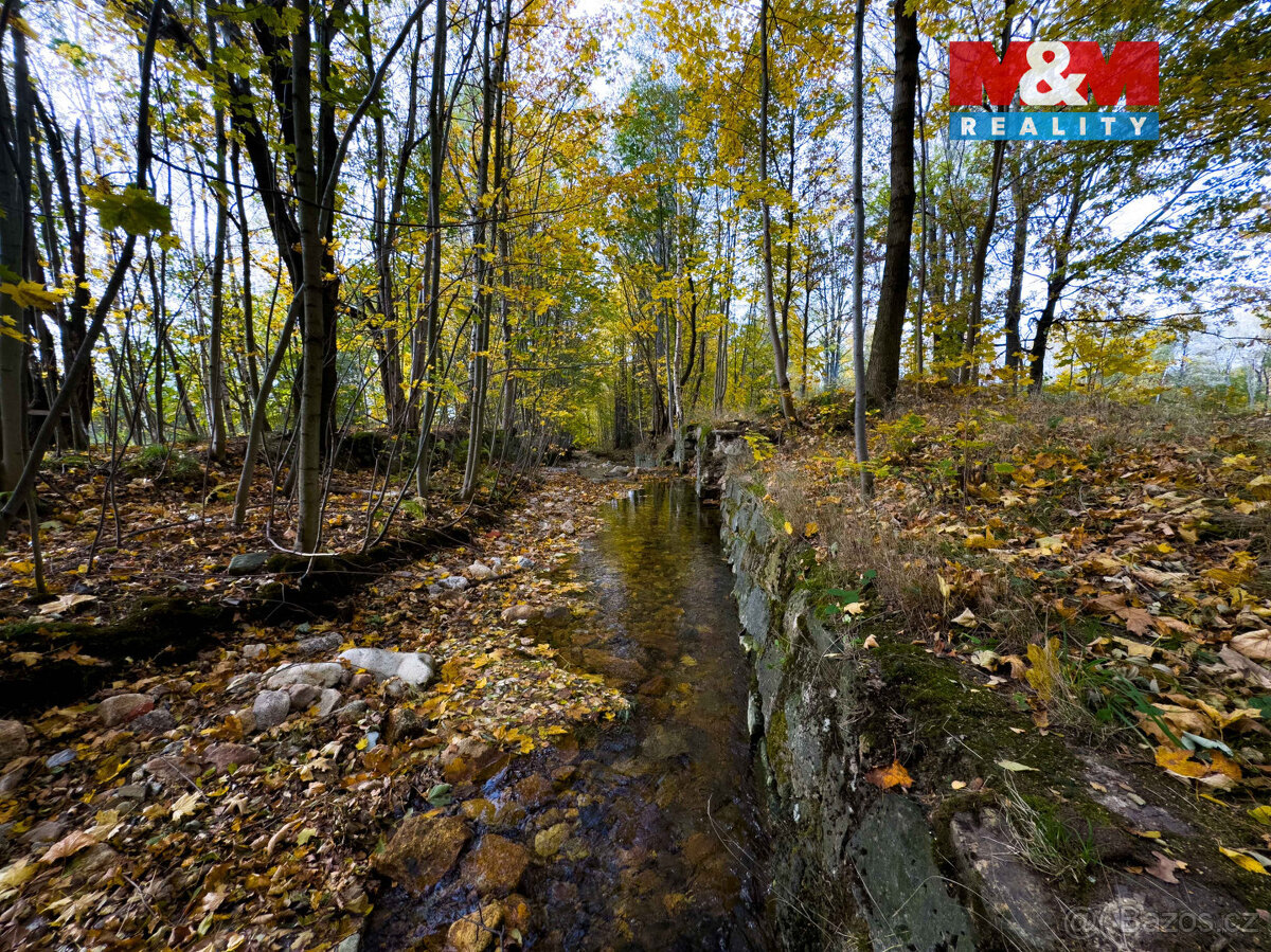 Prodej vodní plochy v Novém Městě pod Smrkem - 15