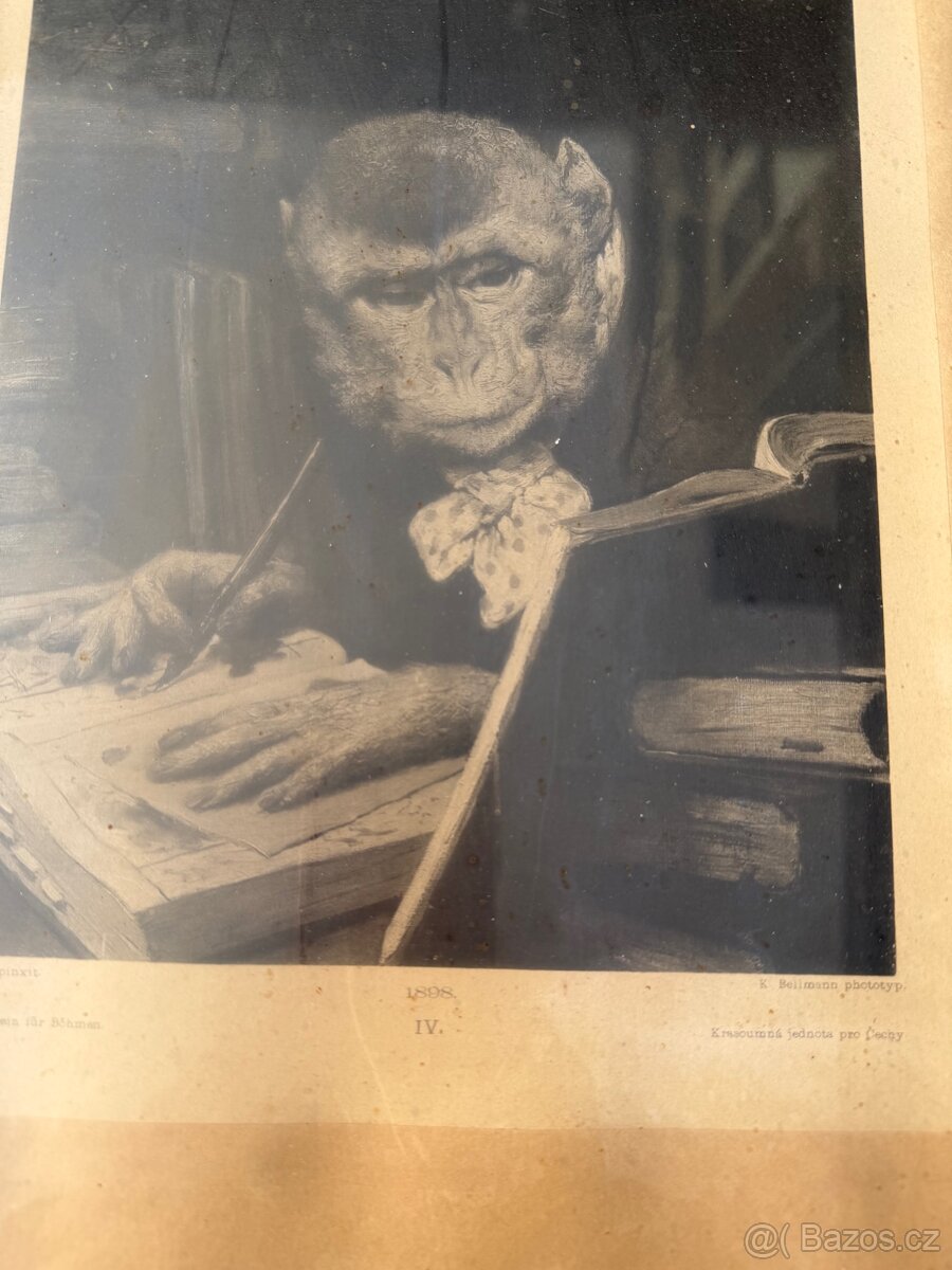 Obrazy a fotografie - 15