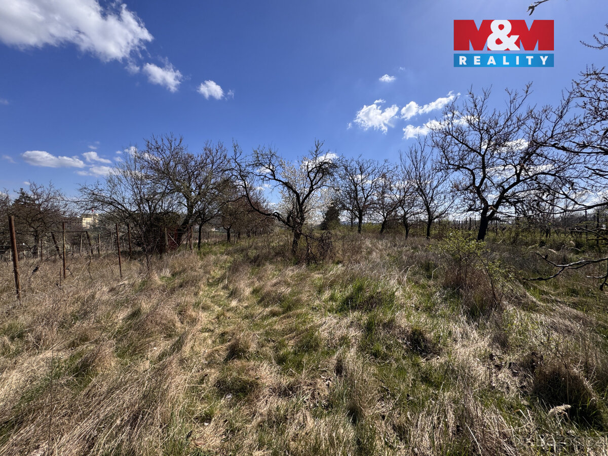 Prodej chaty, Hrušovany u Brna - 15