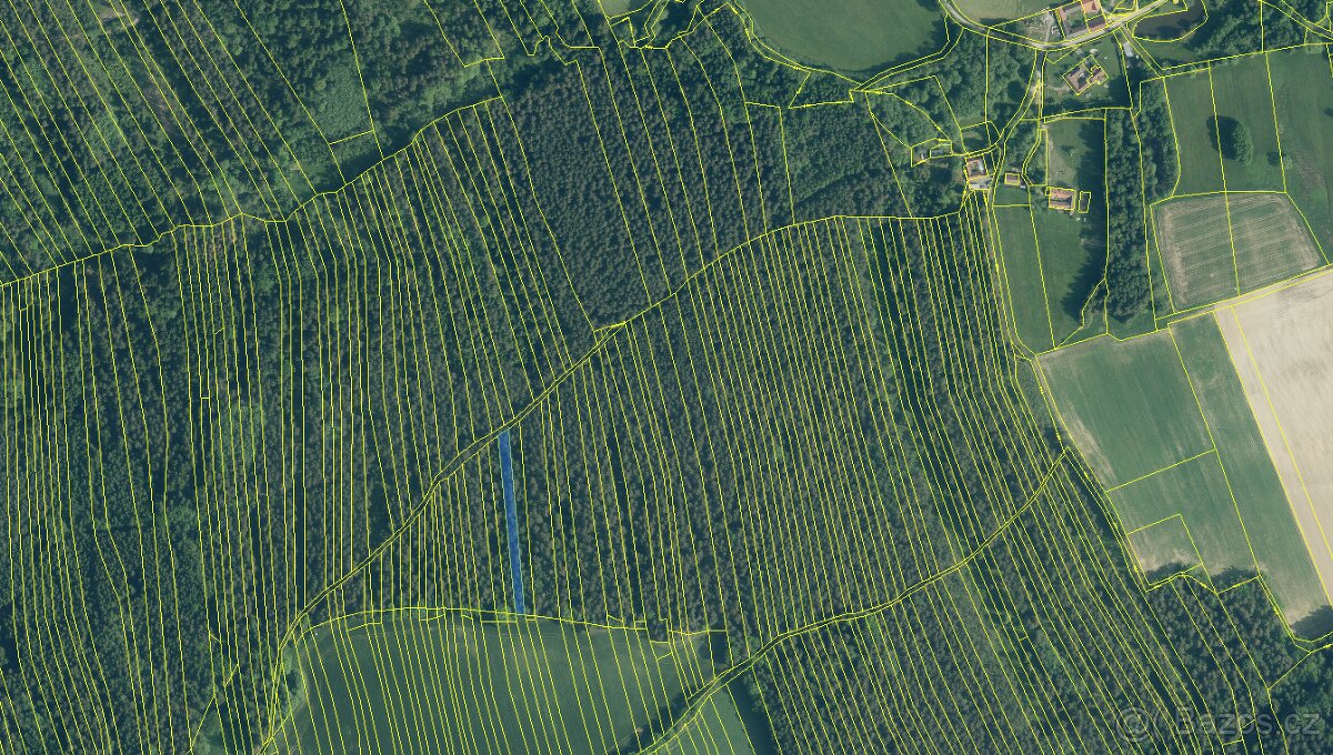 Prodám lesní pozemky v k.ú. Ločenice, p.č. 847 a 1201 - 15