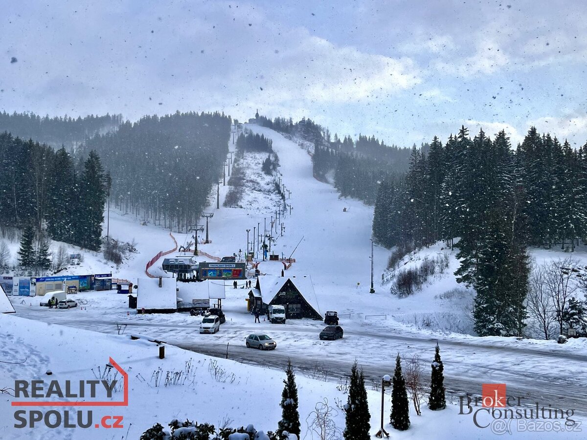 Podnájem, byty/2+kk, 64 m2, 46843 Albrechtice v Jizerských h - 15