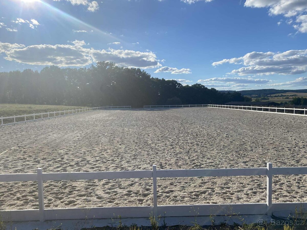 Ustájení koní - Plzeň - jih - 15