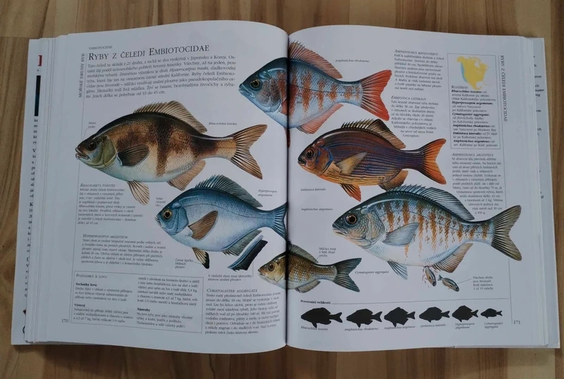 Kniha Encyklopedie rybářství, Abeceda rybaření, dalekohled.. - 15