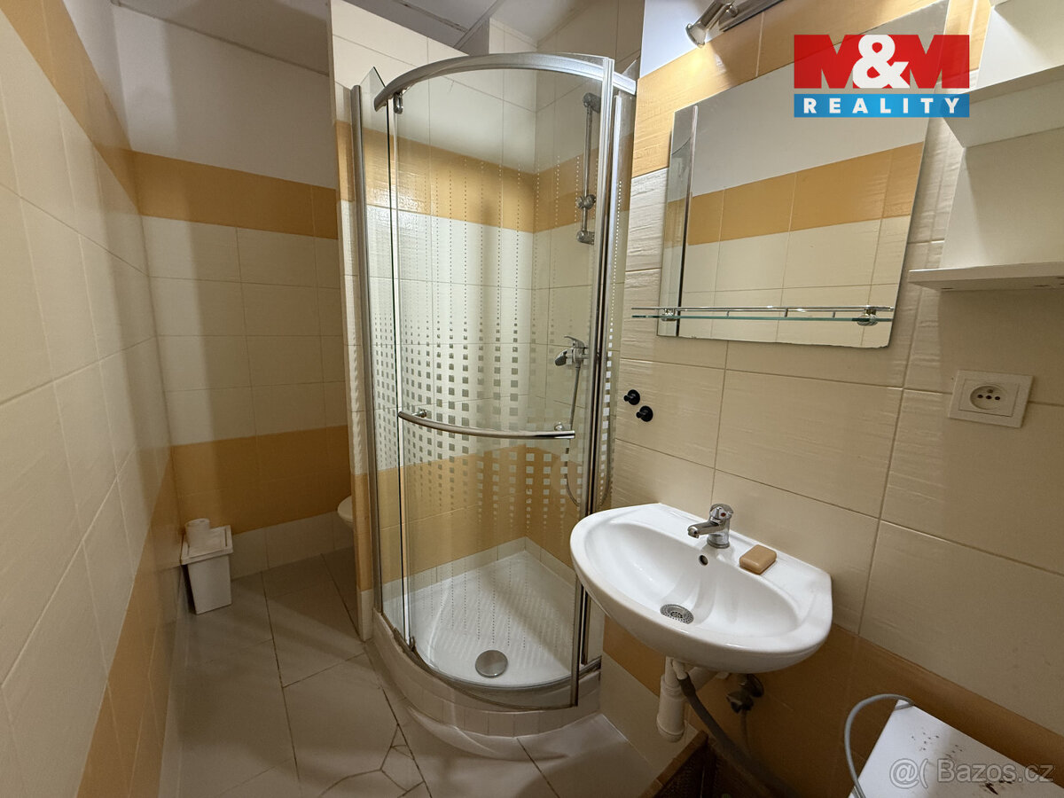 Pronájem bytu 3+1, 53 m², Praha, ul. Sladkovského náměstí - 15