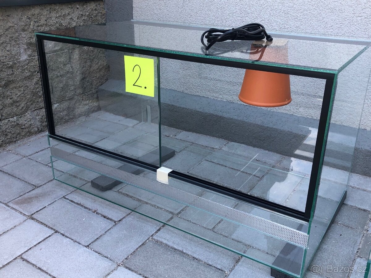 gekončík noční - 15