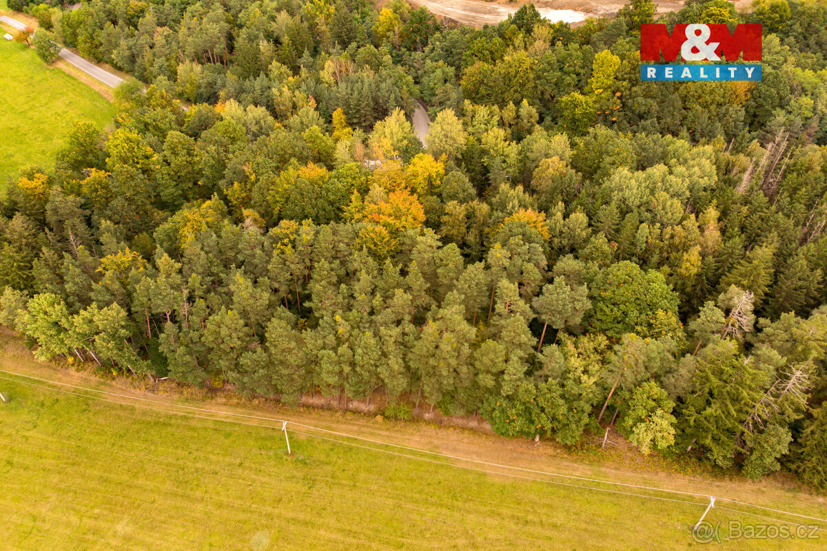 Prodej lesa, 39171 m², Ježovy - 15