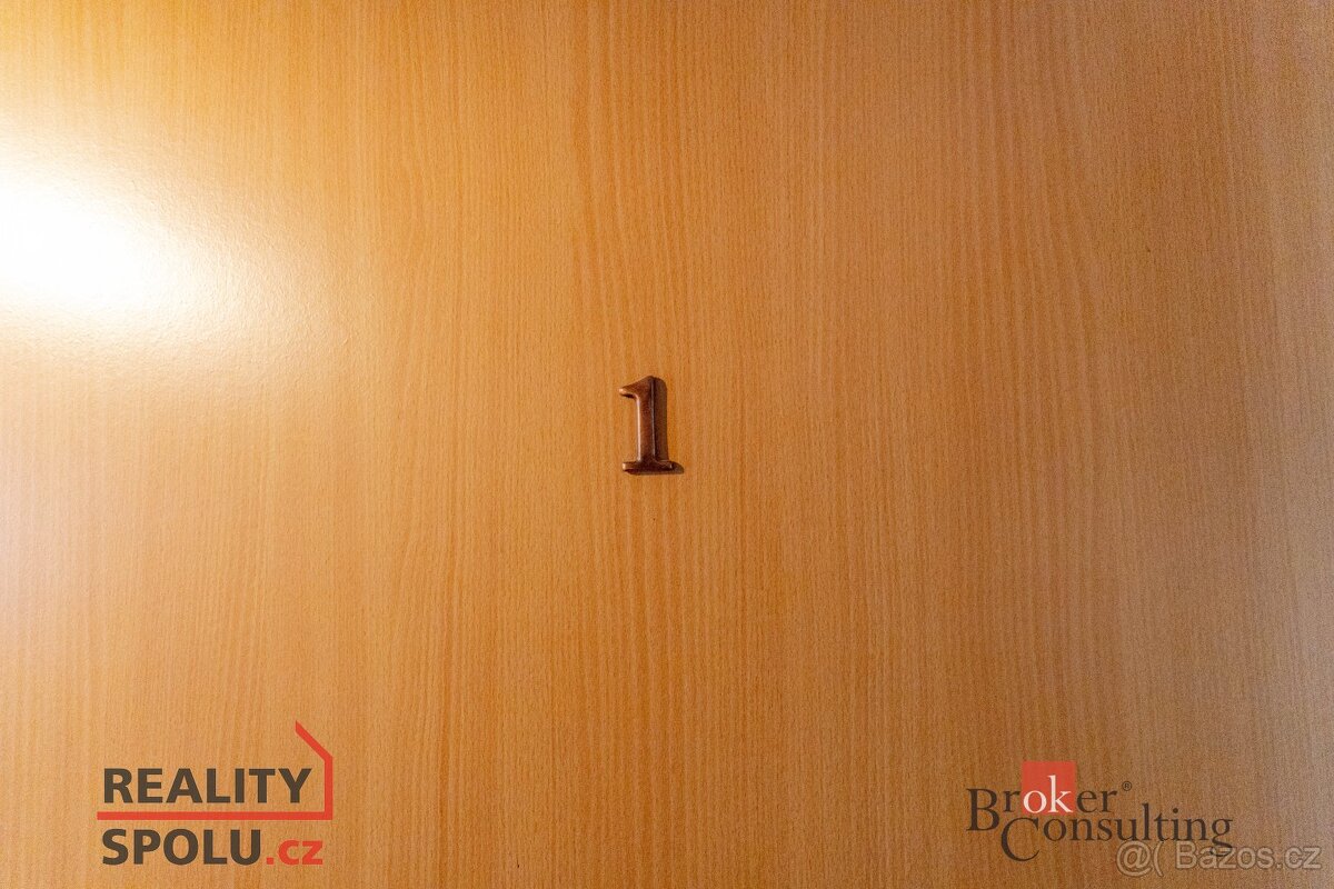 Prodej, komerční/činžovní dům, 500 m2, Horní Rokytnice 490, - 15