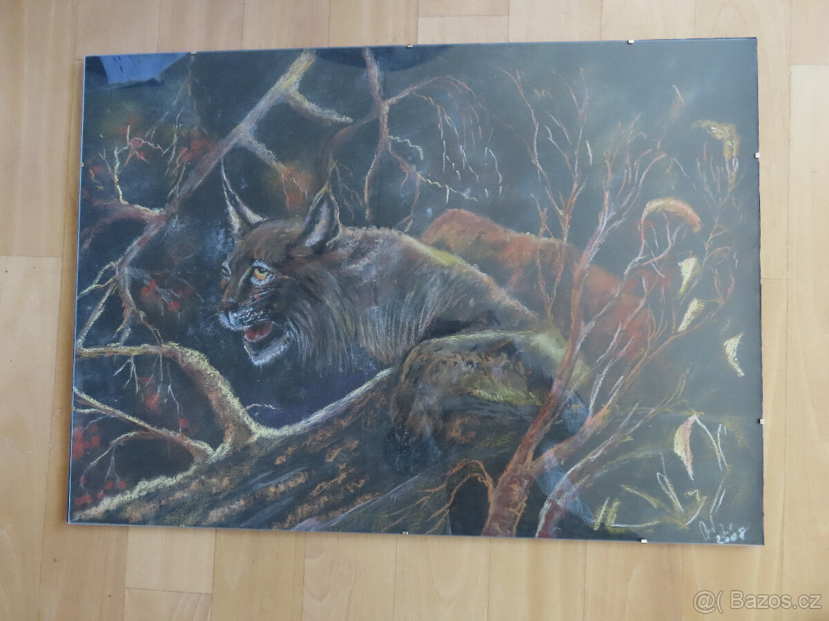 Srnčí parůžky - 15