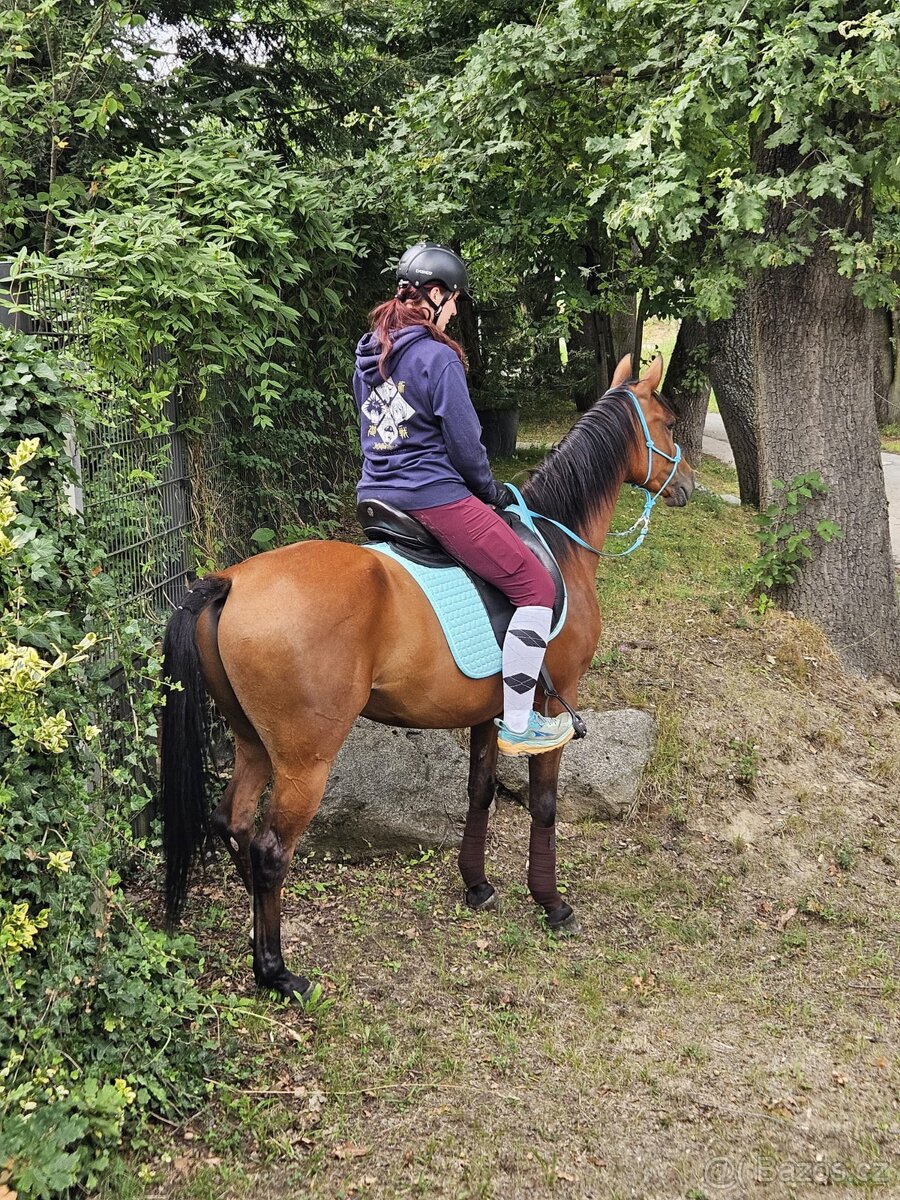 ReactorPanel Elegance - drezurní sedlo - 15