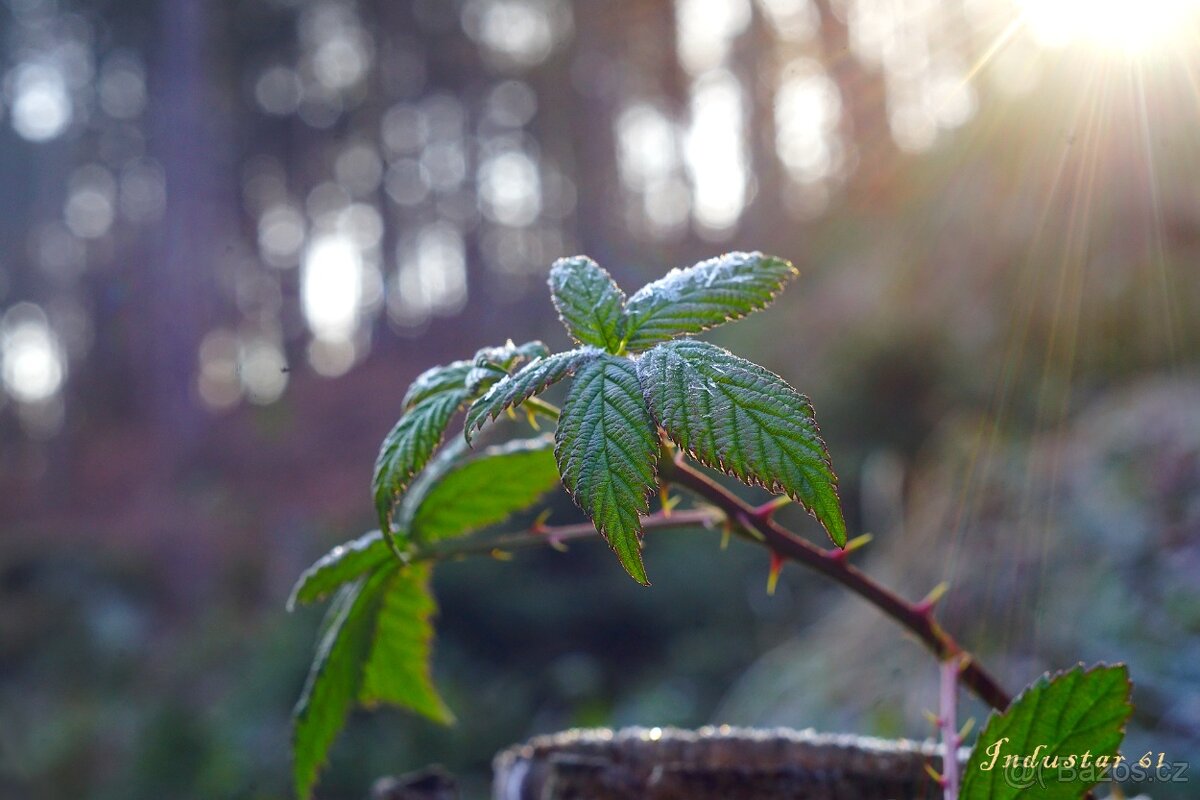 Dálkoměrný FED 2 + Industar I-61 (2.8/52 mm) - r. 1955 - 15