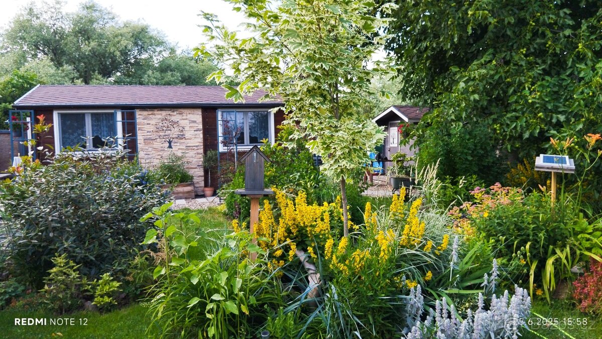 Prodej chaty se zahradou - 15