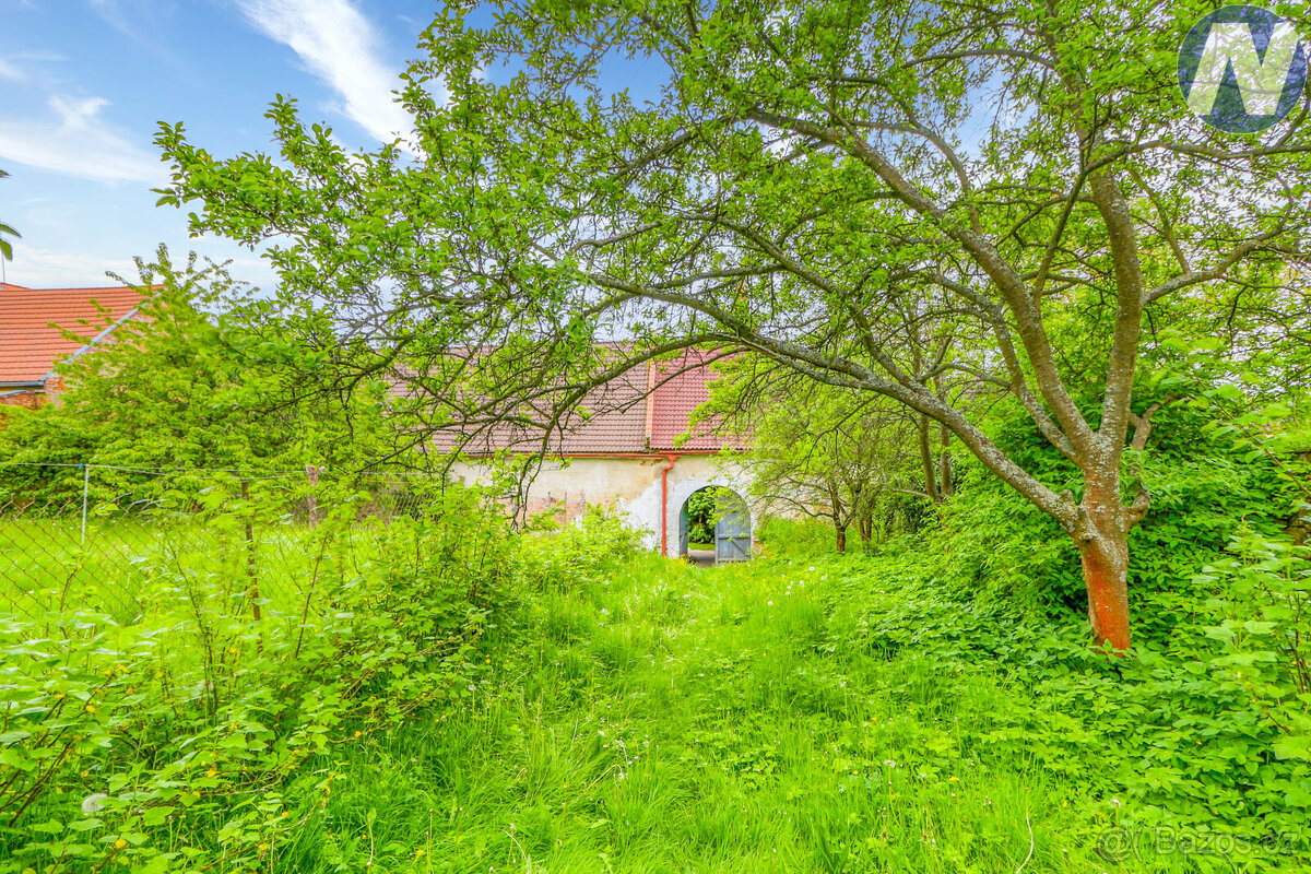 Husinec, prodej zemědělské usedlosti - 15