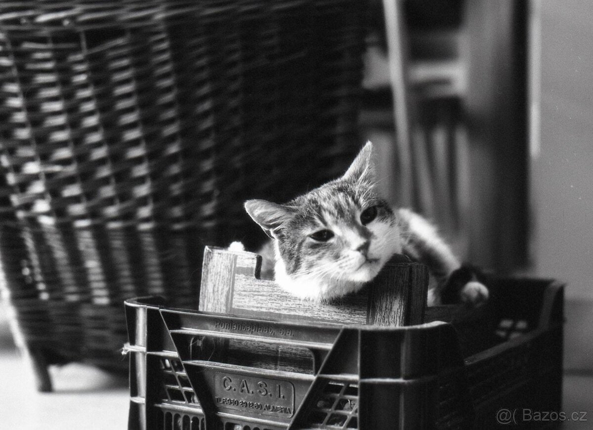 Hasselblad 500 C/M Konvolut – středoformátový set se 3 skly - 15