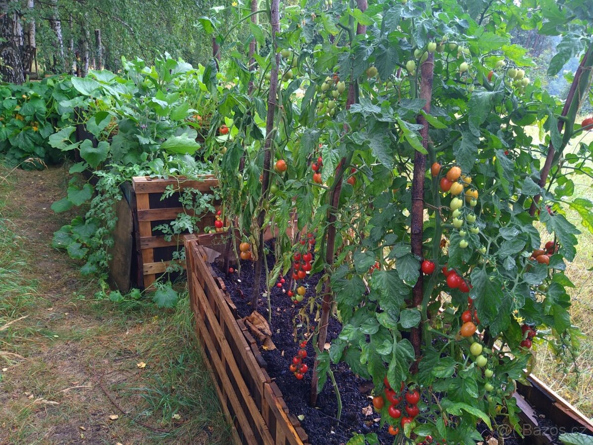 Zahrada/pozemek na Broumovsku - 15