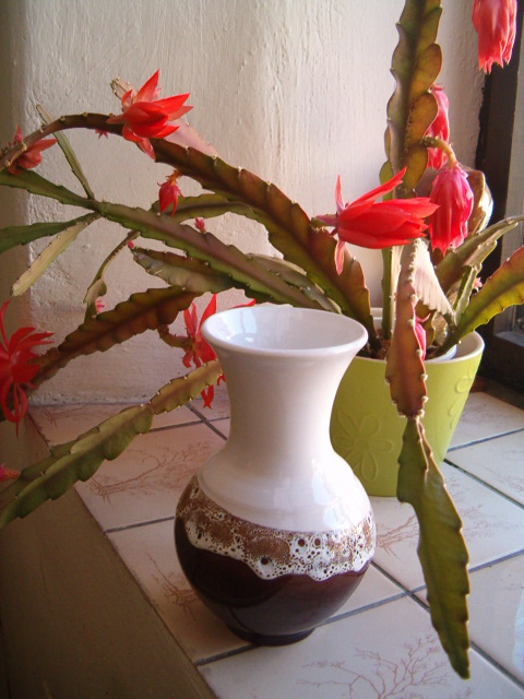 Starší vázy, vázičky, mísy - 15